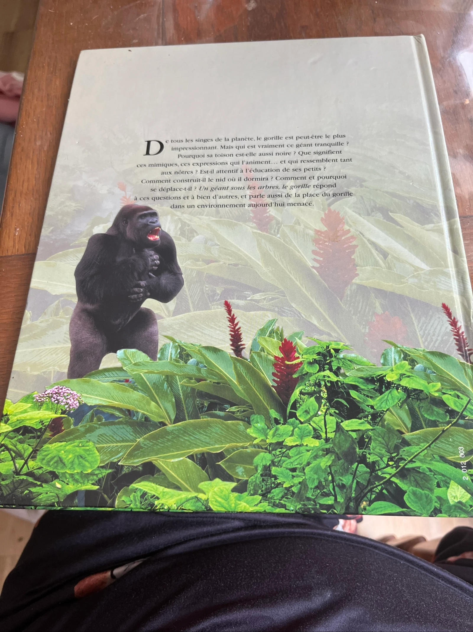 Libro Atlas Junior de los Animales - El gorila – photo 2